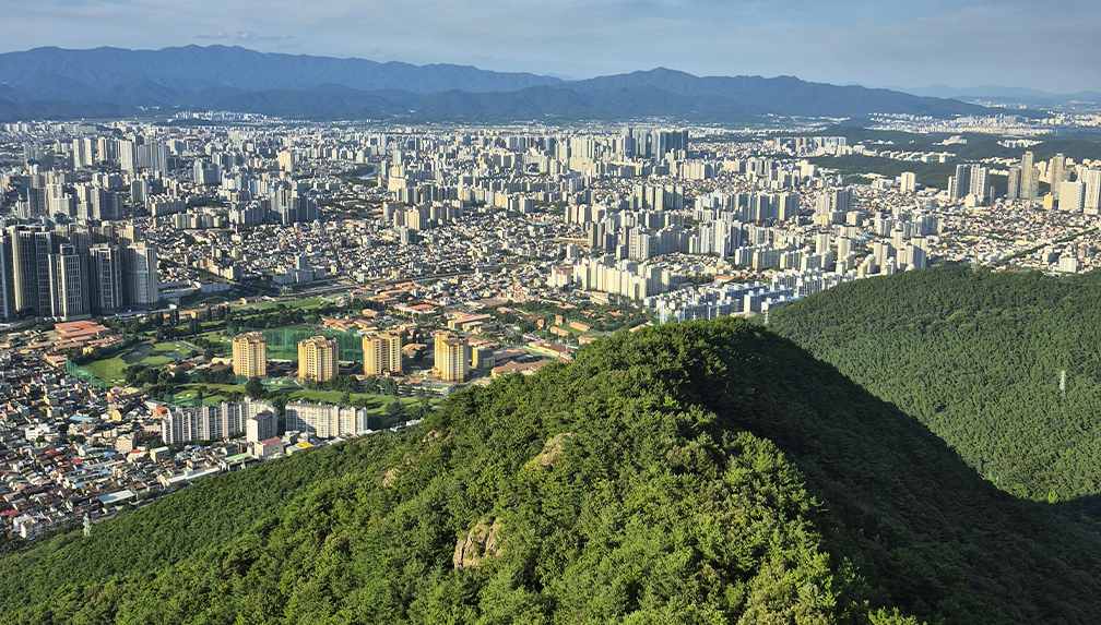 Hoka Arahi 7 recenze